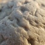 Ambergris note