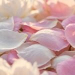 Floral Notes note