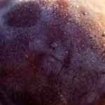 Plum note